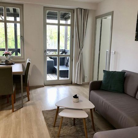 Apartman Krusne Hory - Erzgebirge Horní Blatná エクステリア 写真