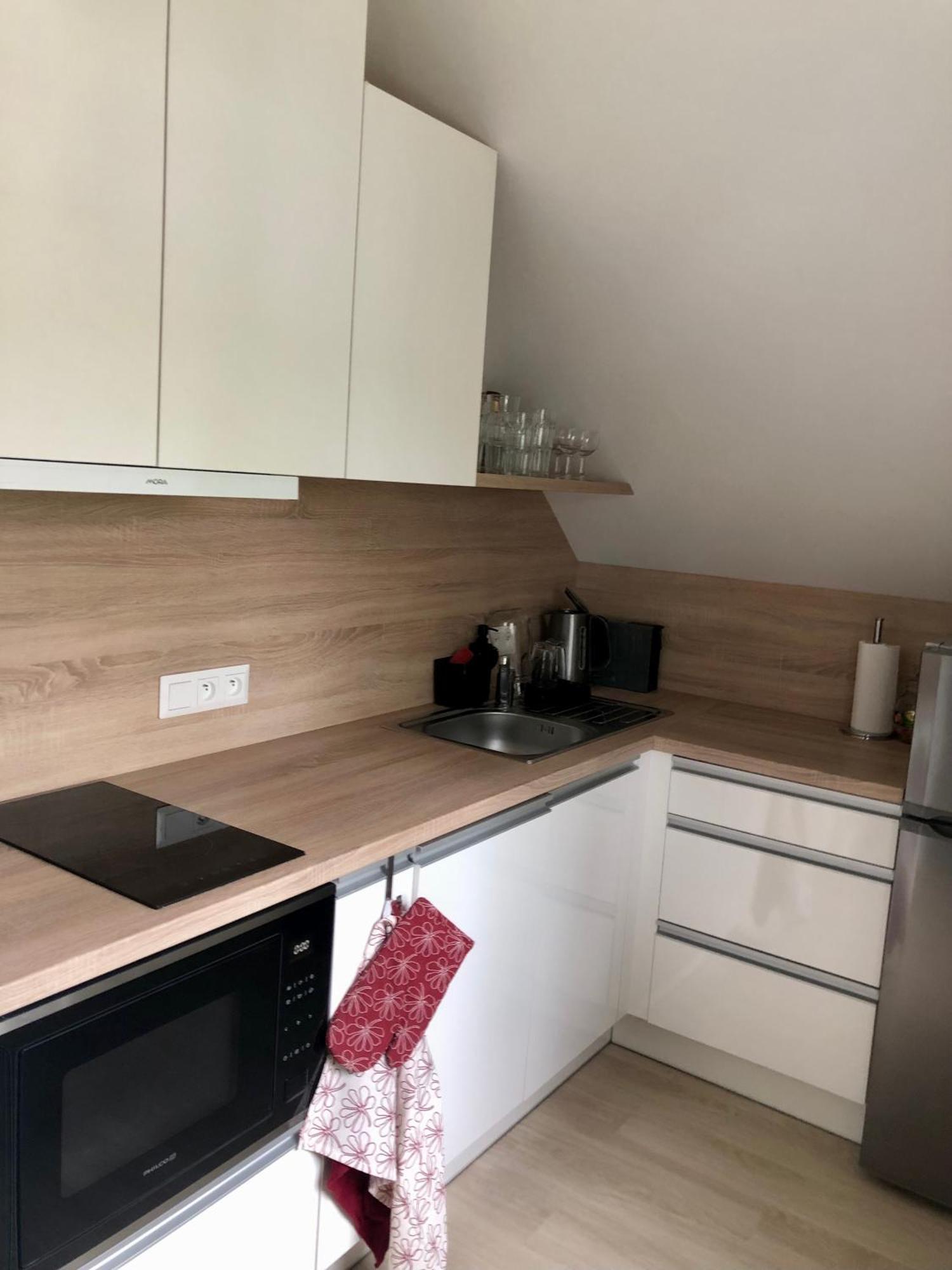 Apartman Krusne Hory - Erzgebirge Horní Blatná エクステリア 写真