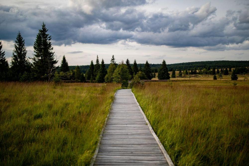 Apartman Krusne Hory - Erzgebirge Horní Blatná エクステリア 写真