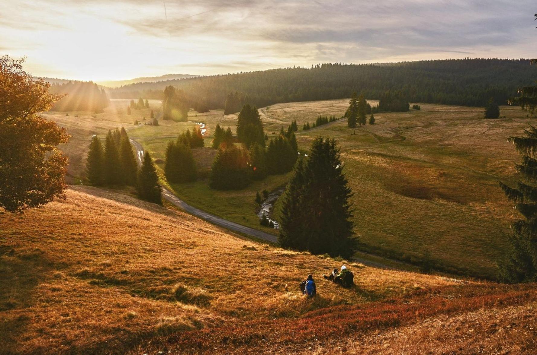 Apartman Krusne Hory - Erzgebirge Horní Blatná エクステリア 写真
