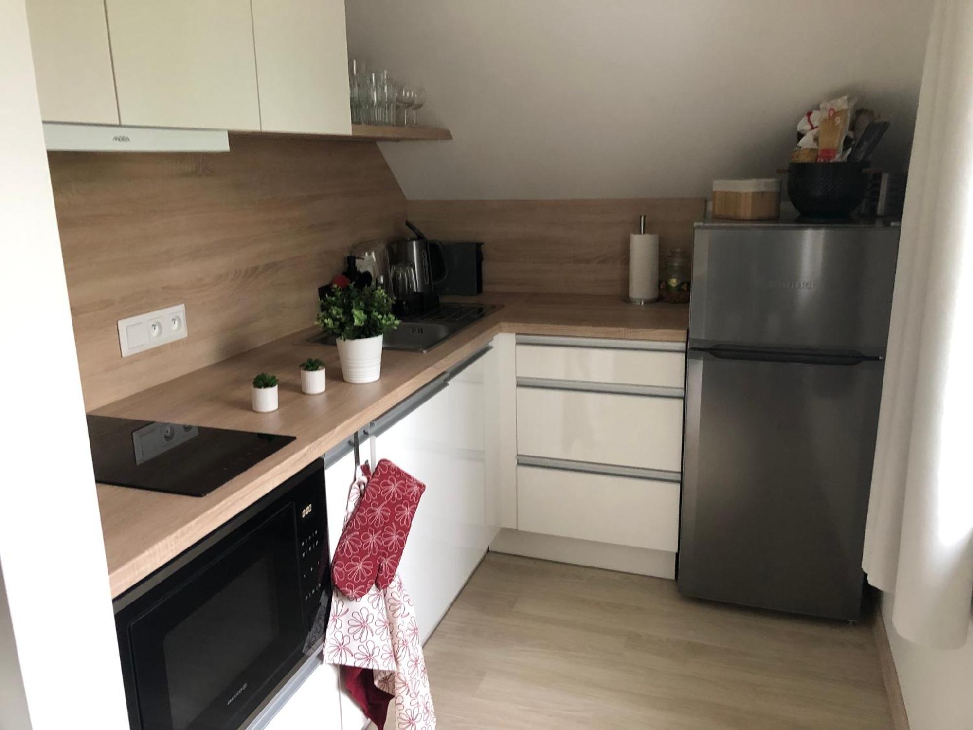 Apartman Krusne Hory - Erzgebirge Horní Blatná エクステリア 写真