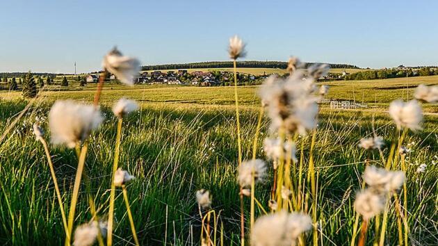 Apartman Krusne Hory - Erzgebirge Horní Blatná エクステリア 写真